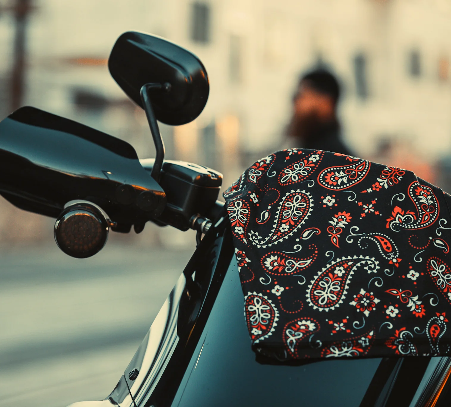 Black Paisley - Image 5