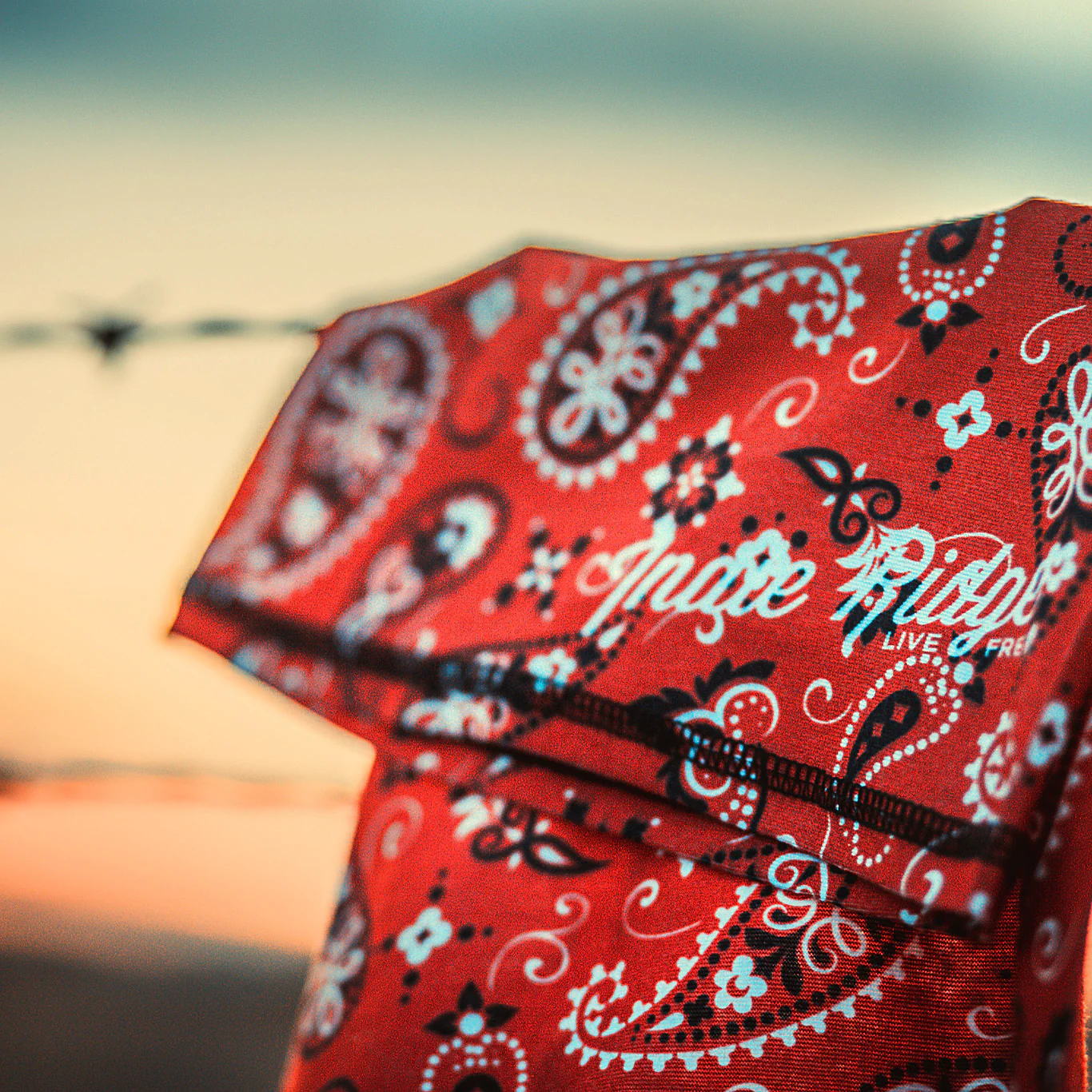 Red Paisley - Image 5